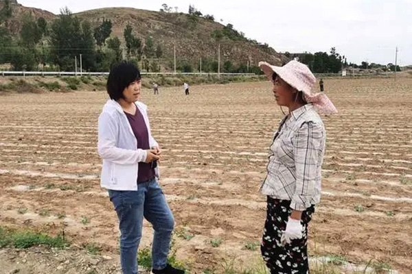 府谷县硬路塔村第 一书记赵艳——把帮扶村当作自己的“家” 府谷县硬路塔村第 一书记赵艳——把帮扶村当作自己的“家”